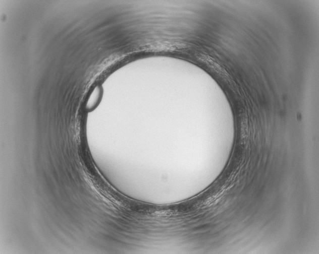 X0000057070584200510071435