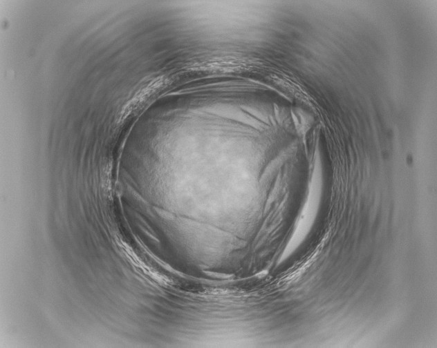 X0000057070585200510071434