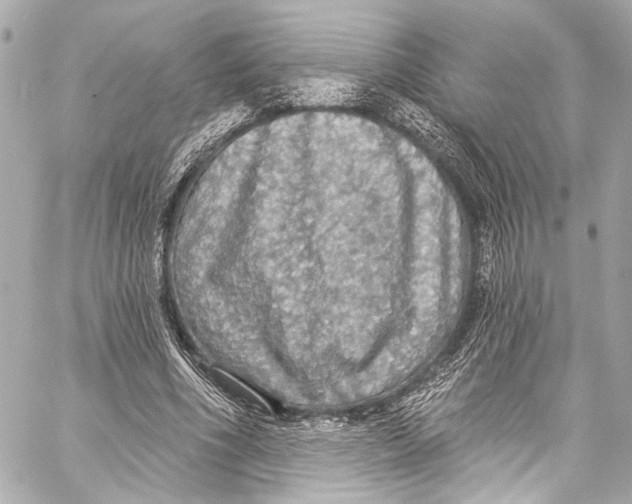 X0000057070586200510071434