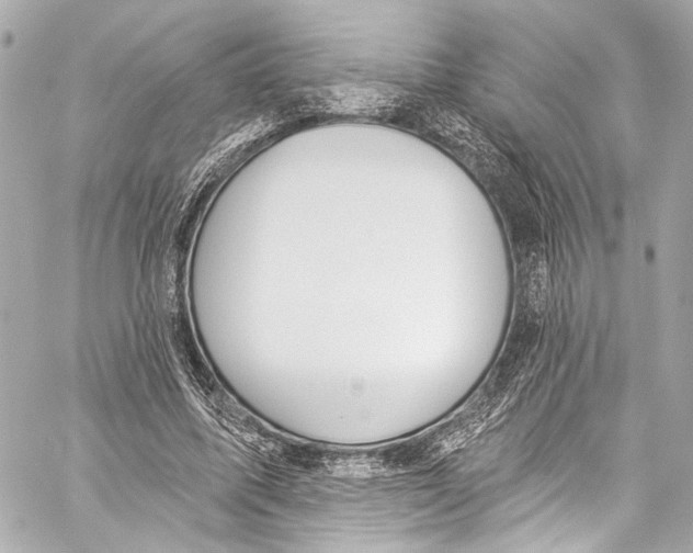 X0000057070587200510071434