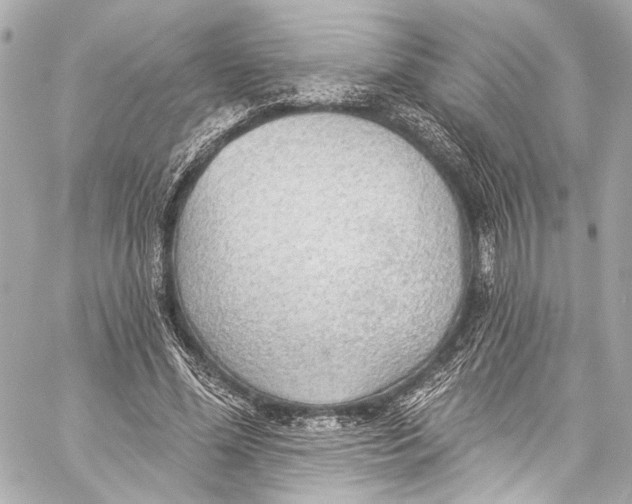 X0000057070588200510071434