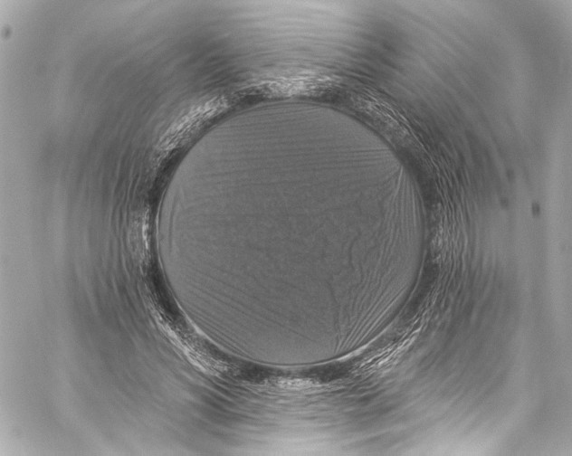 X0000057070590200510071434