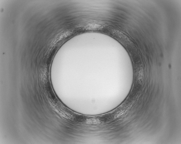 X0000057070591200510071434