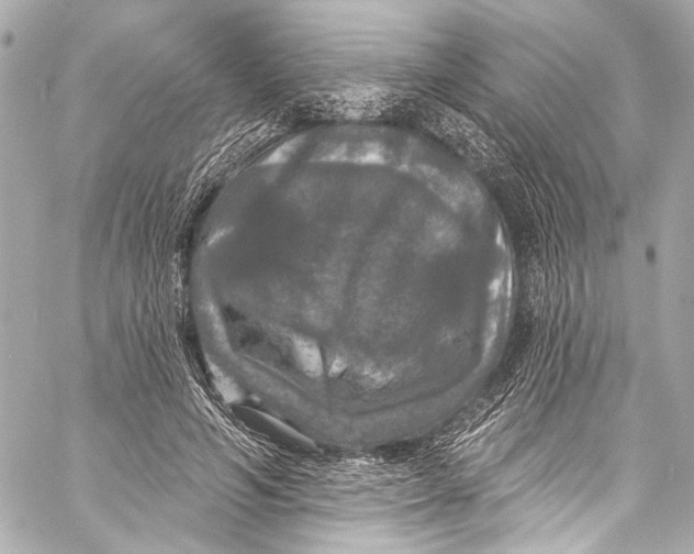 X0000057070594200510071434