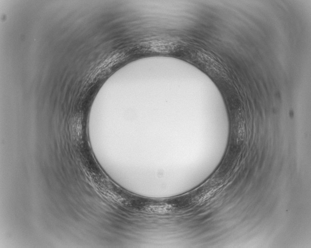 X0000057070595200510071434