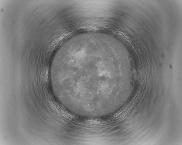 X0000057070596200510071434