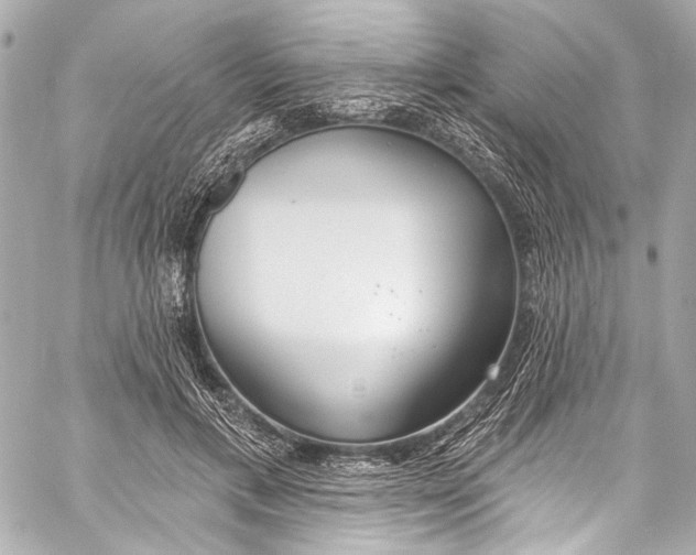 X0000057070597200510071434