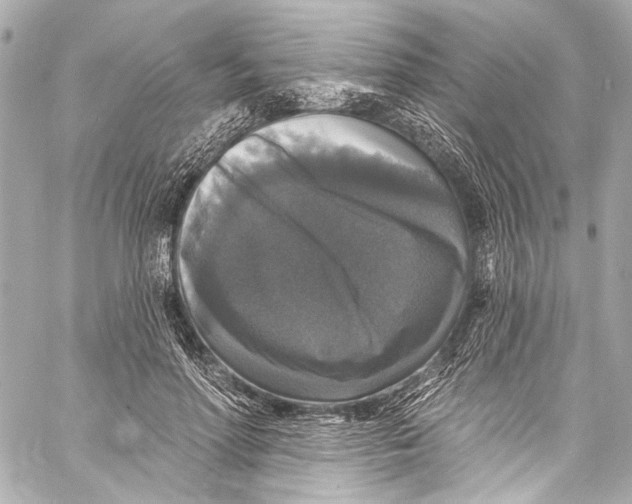 X0000057070598200510071434