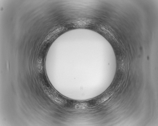 X0000057070599200510071434