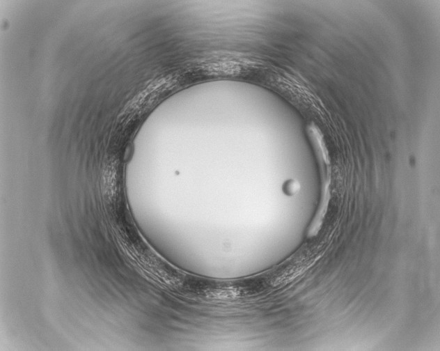 X0000057070600200510071434