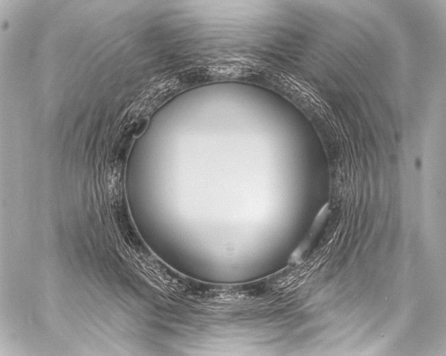 X0000057070601200510071434