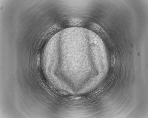 X0000057070602200510071434