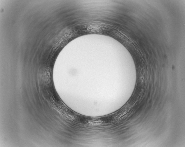 X0000057070603200510071434