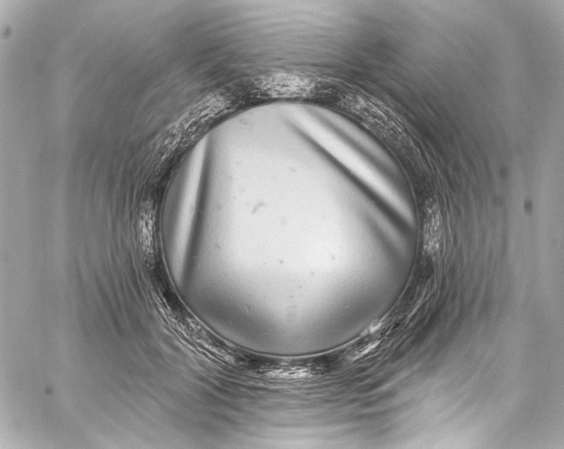 X0000057070604200510071434