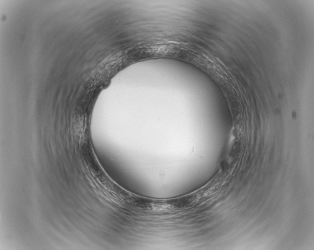 X0000057070605200510071434