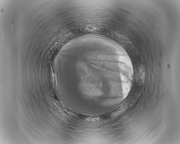 X0000057070606200510071434