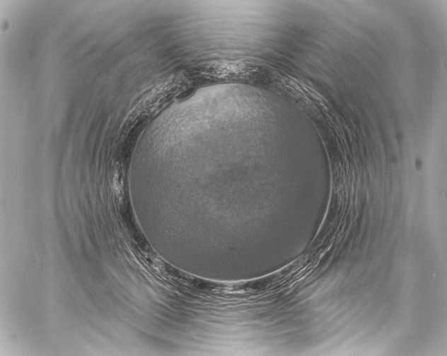 X0000057070607200510071434