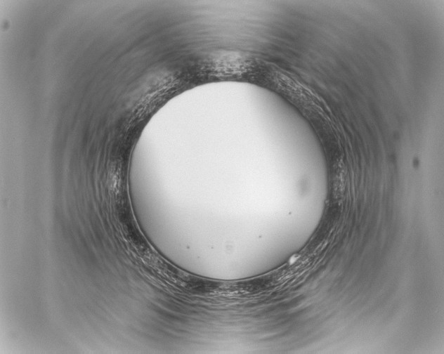 X0000057070608200510071434