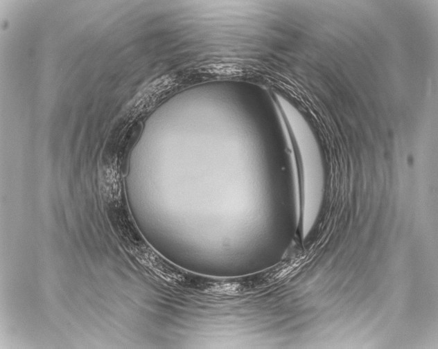 X0000057070609200510071434