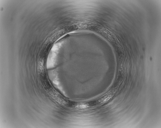 X0000057070610200510071434