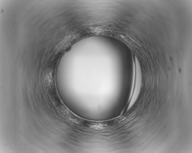 X0000057070611200510071434