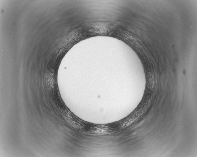 X0000057070612200510071434