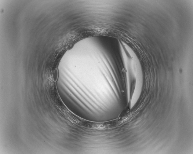 X0000057070613200510071434