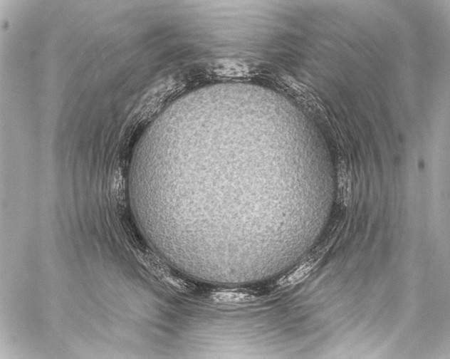 X0000057070614200510071434