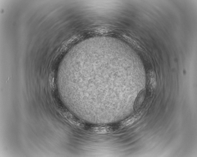 X0000057070615200510071434