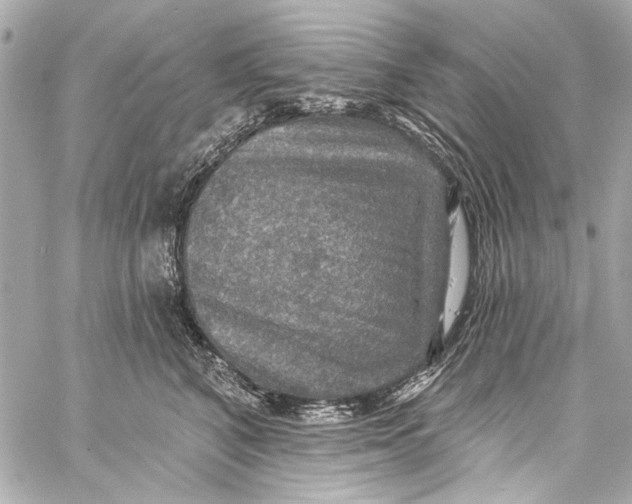 X0000057070616200510071434