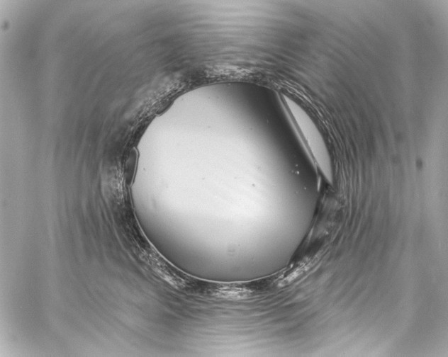 X0000057070617200510071434