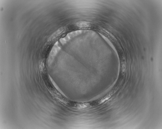 X0000057070618200510071434