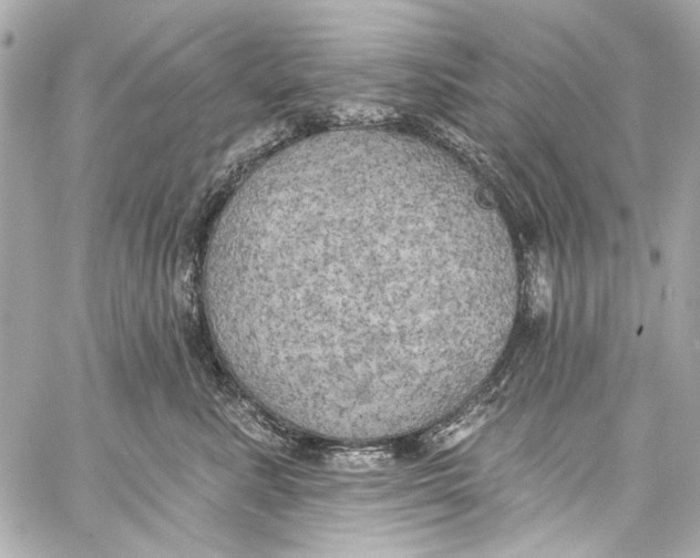 X0000057070619200510071434