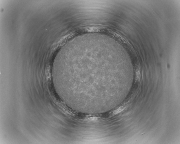 X0000057070620200510071434