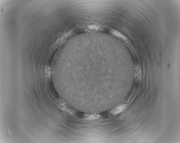 X0000057070621200510071434