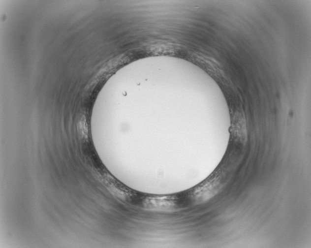 X0000057070622200510071434