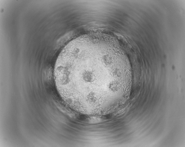 X0000057070623200510071434