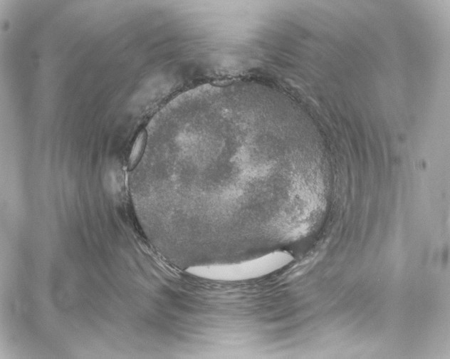 X0000057070624200510071434