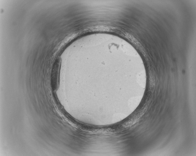 X0000057070625200510071433