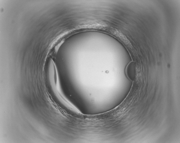 X0000057070628200510071433