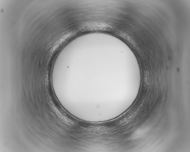 X0000057070629200510071433