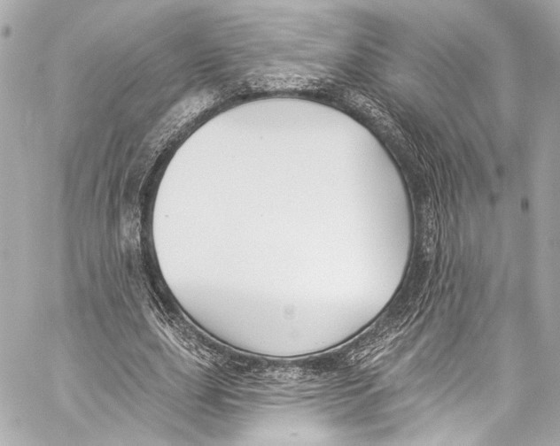 X0000057070631200510071433