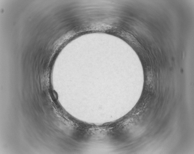 X0000057070632200510071433