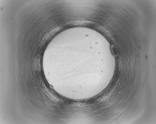 X0000057070633200510071433