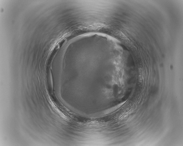 X0000057070634200510071433