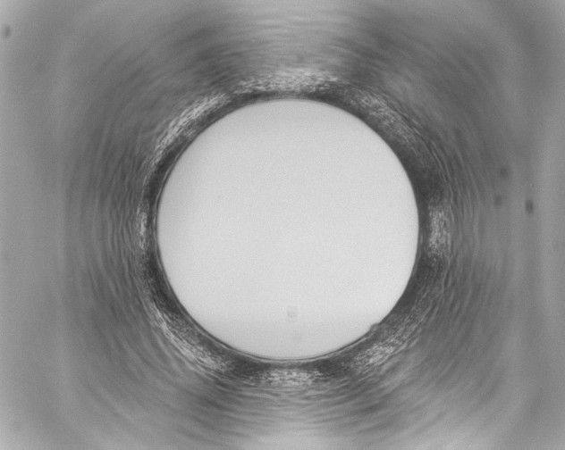 X0000057070636200510071433