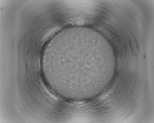 X0000057070638200510071433