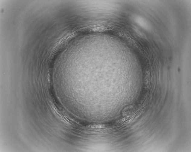 X0000057070639200510071433