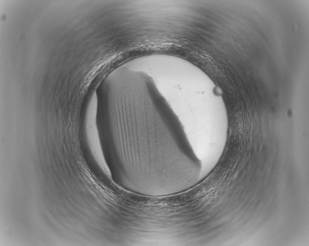 X0000057070640200510071433