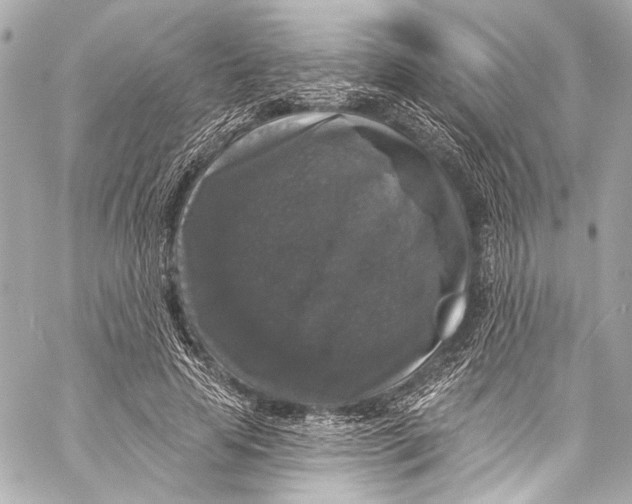 X0000057070641200510071433